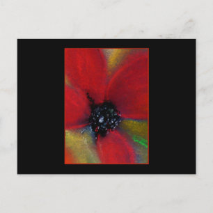 Red Flower, Poppy. Postcard