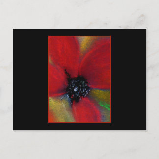 Red Flower, Poppy. Postcard