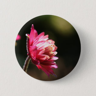 Red Flower Sunlight Floral Button