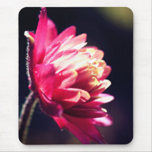 Red Flower Sunlight Floral  Mouse Pad