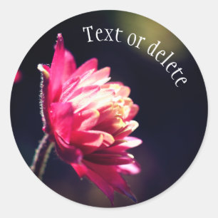 Red Flower Sunlight Personalized Classic Round Sticker