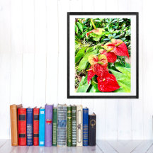 Red Flower Tropical Garden