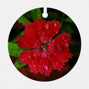 Red Flower With Raindrops Photo Metal Ornament