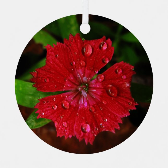 Red Flower With Raindrops Photo Metal Ornament (Front)