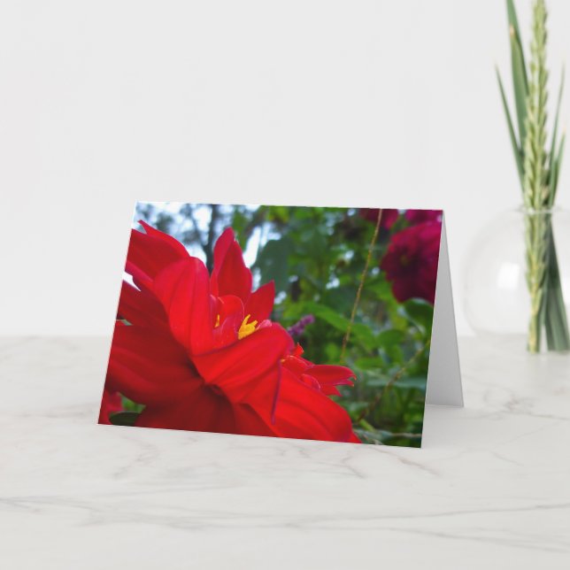 Red Flower with Yellow Centre Card (Front)