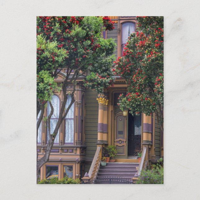 Red Flowering Gum Tree Frames Victorian Style Postcard (Front)