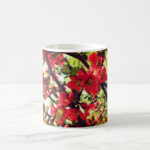 Red Flowering Quince Blossoms Coffee Mug