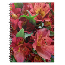 Red-flowers