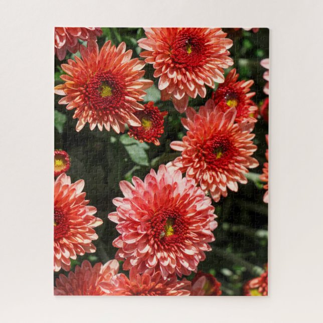 Red flowers of chrysanthemum jigsaw puzzle (Vertical)