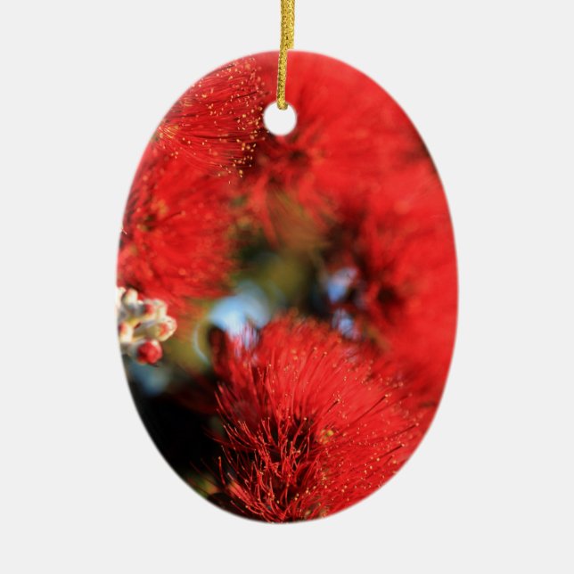 Red flowers Pohutukawa tree Ceramic Ornament (Front)
