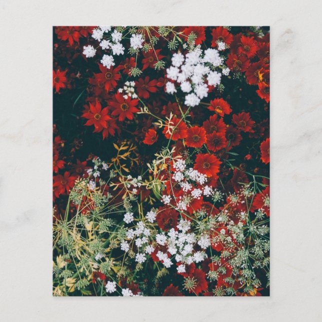 Red Flowers Scrapbook paper (Front)
