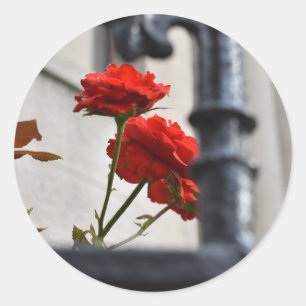 Red Flowers Wrought Iron New York City Photography Classic Round Sticker