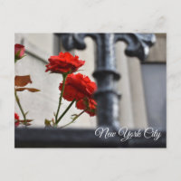 Red Flowers Wrought Iron New York City Photography