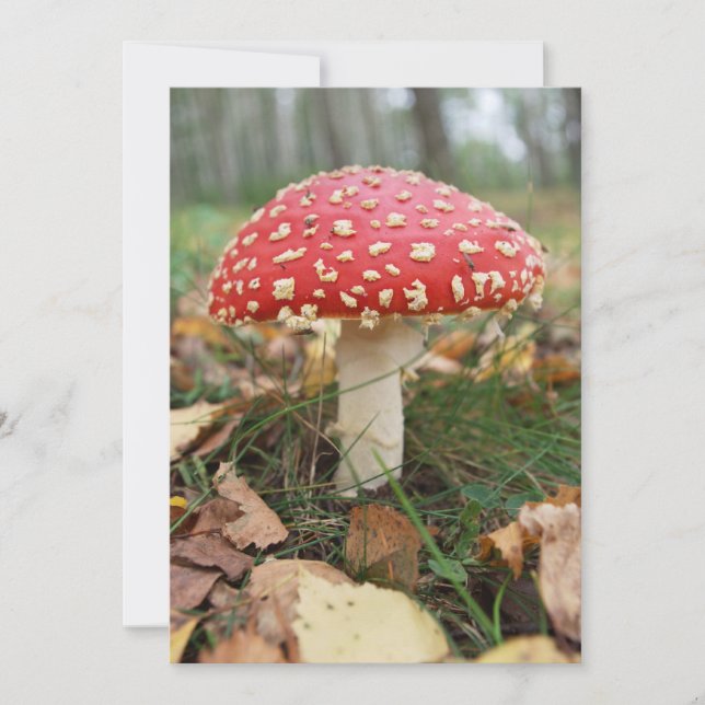 Red Fly Agaric Invitation (Front)
