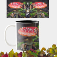 Red Fly Agaric Mushroom in the Forest