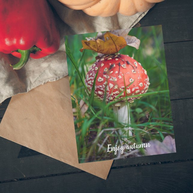 Red fly agaric mushroom postcard (Creator Uploaded)
