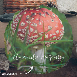 Red fly agaric mushroom round pillow