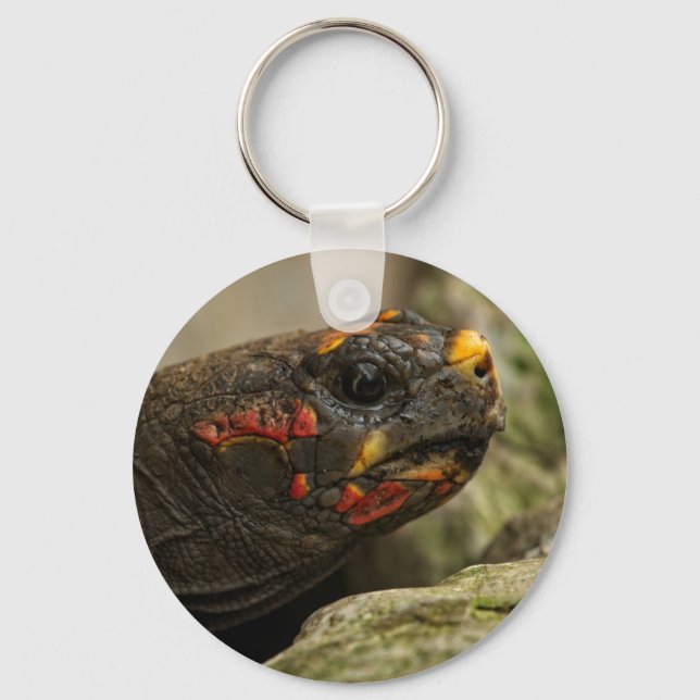 Red-Footed Tortoise Keychain (Front)