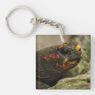 Red-Footed Tortoise Notebook Keychain