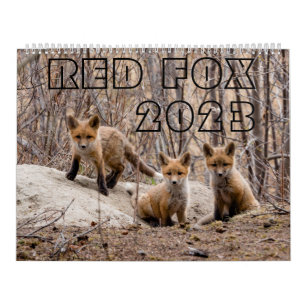 Red Fox 2023 - Calendrier