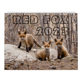 Red Fox 2023 - Calendrier