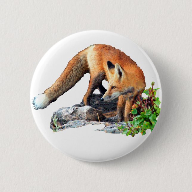 Red fox 2 inch round button (Front)