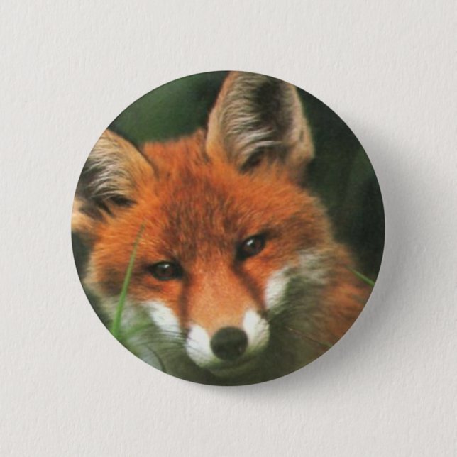 Red Fox 2 Inch Round Button (Front)