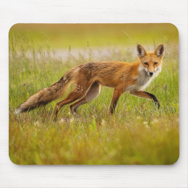 Red Fox Adult Mouse Pad (Front)