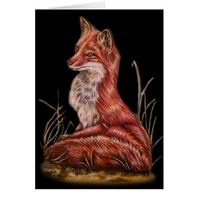 Red Fox Animal Art Drawing (Front)