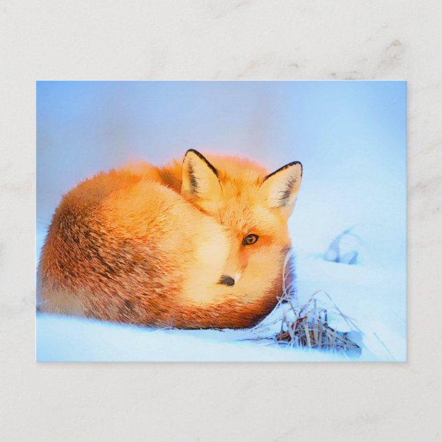 *~* Red Fox Ap18 Artistic  Painting Wildlife Artsy Postcard (Front)