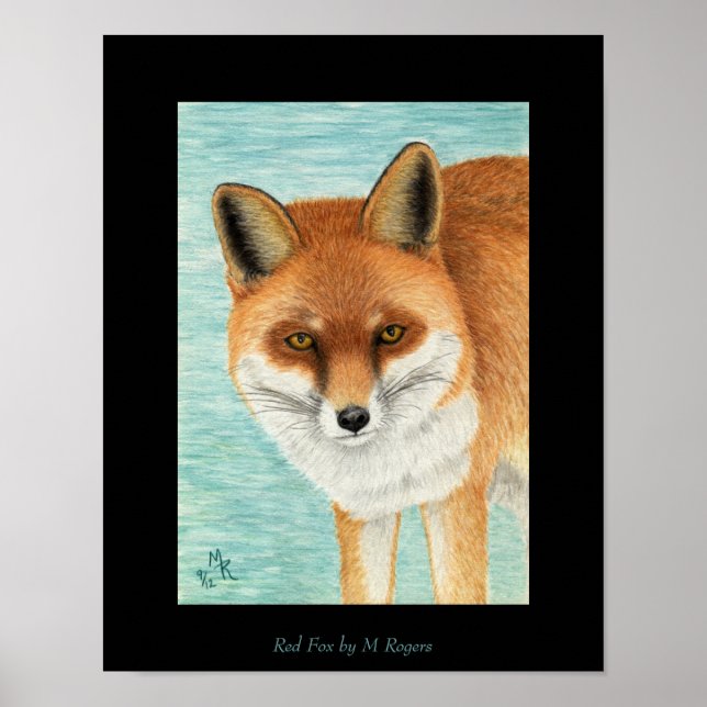 Red Fox Art Print (Front)