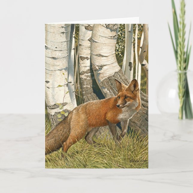 Red Fox & Aspen Trees "LAST LOOK" Holiday Card (Front)