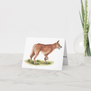 Red Fox Blank Note Card