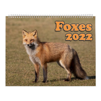 Red Fox Calendar