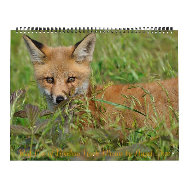 Red Fox Calendar by Angel Cher (Cover)