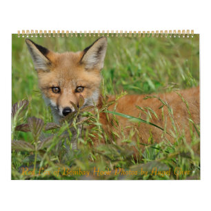 Red Fox Calendar by Angel Cher