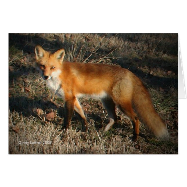 Red Fox Card (Front Horizontal)
