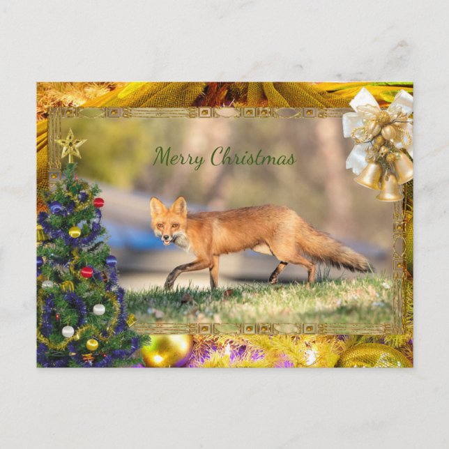 Red Fox Christmas Card (Front)
