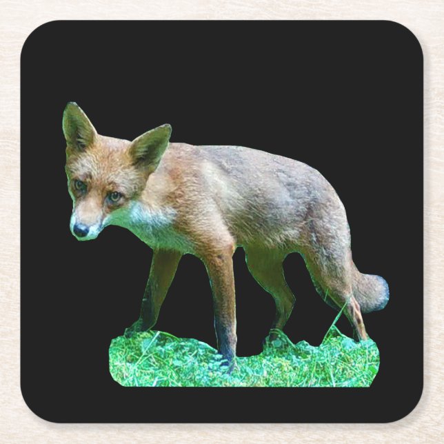 Red Fox Cub Coaster (Front)
