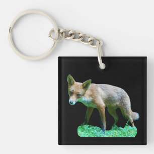 Red Fox Cub Coaster Keychain