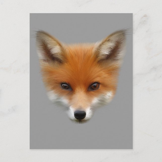 Red Fox Cub Postcard (Front)