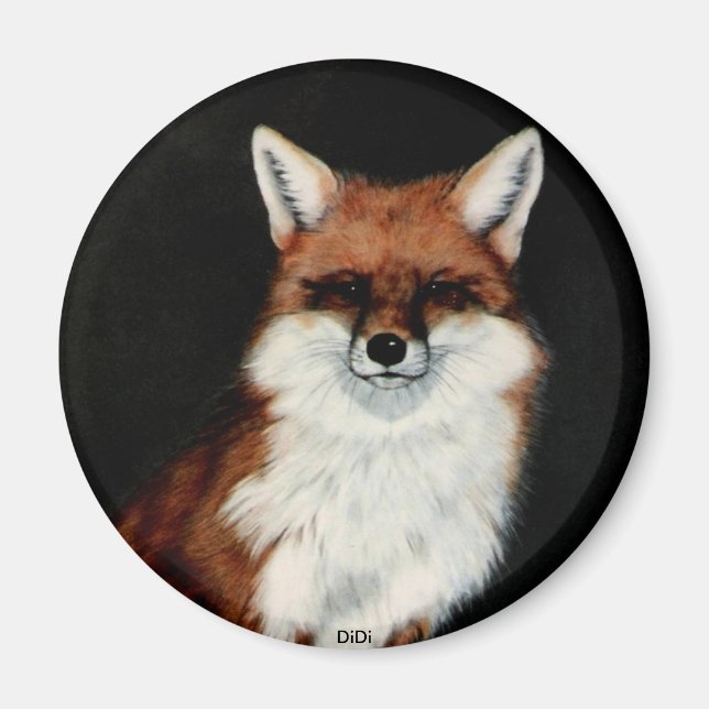 RED FOX, DiDi Magnet (Front)