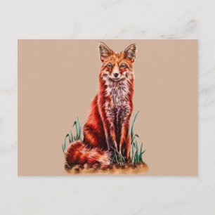 Red Fox Drawing Animal Art Pencil Sketch Foxy Postcard