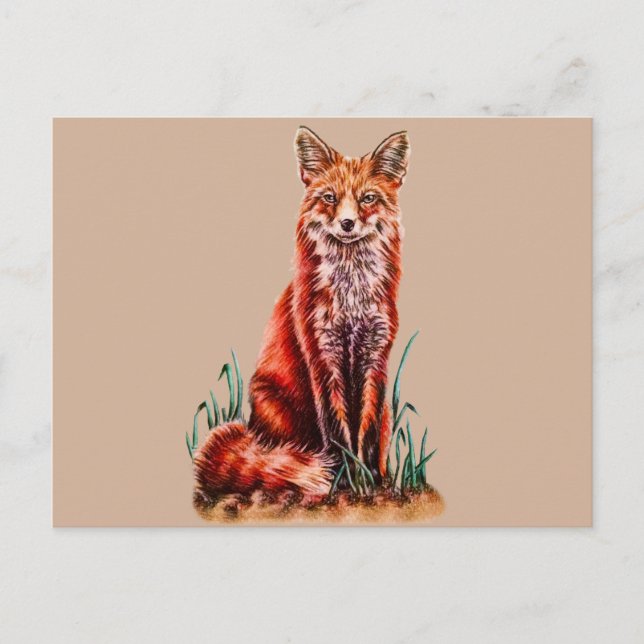 Red Fox Drawing Animal Art Pencil Sketch Foxy Postcard (Front)