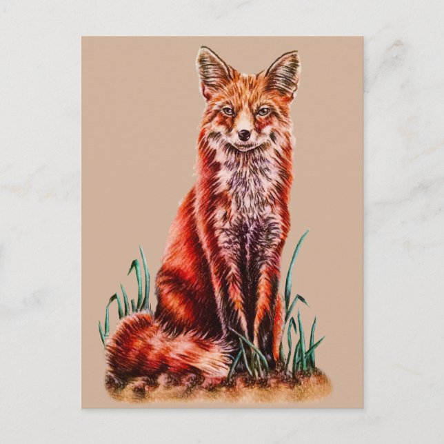 Red Fox Drawing Animal Art Pencil Sketch Foxy Postcard (Front)