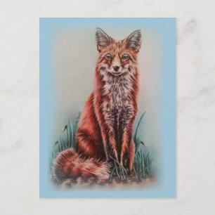 Red Fox Drawing Animal Art Pencil Sketch Postcard