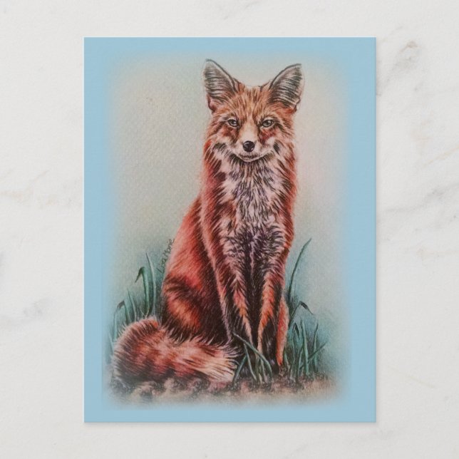 Red Fox Drawing Animal Art Pencil Sketch Postcard (Front)