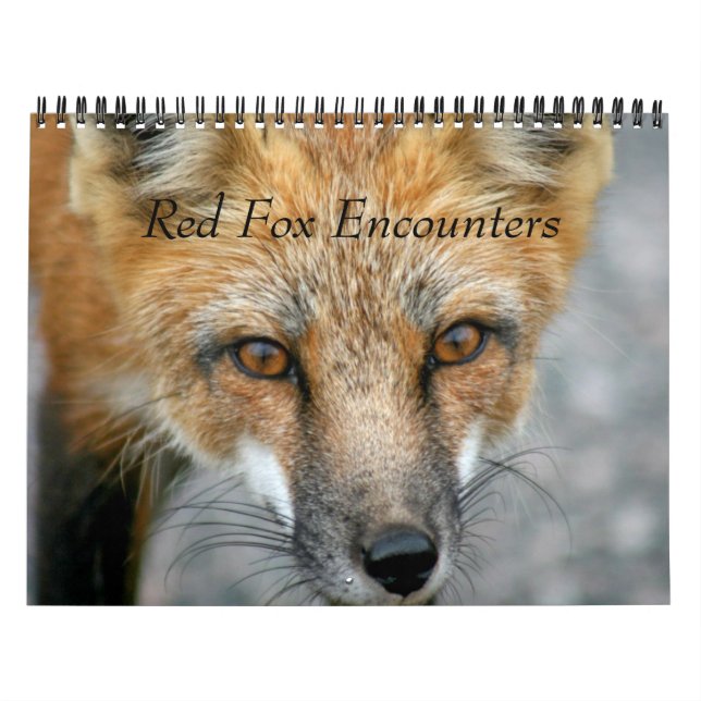 Red Fox Encounters Calendar (Cover)