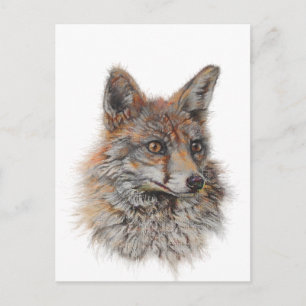red fox face art postcard