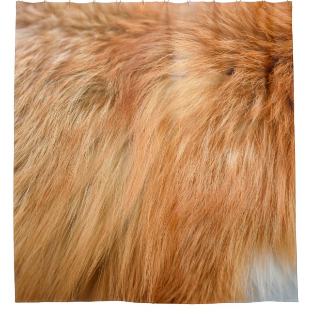 Red fox fur texture (Front)